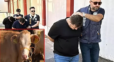 Sazan Sarmalı Dolandırıcılığı: Ortaklar Zarara Uğradı