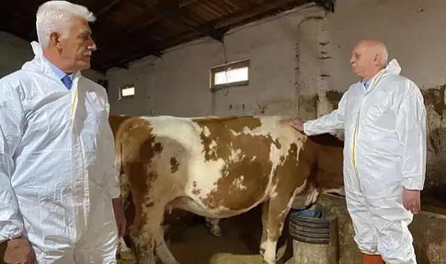 Bayraktar: Şap hastalığından mağdur olan işletmelere destek verilmeli