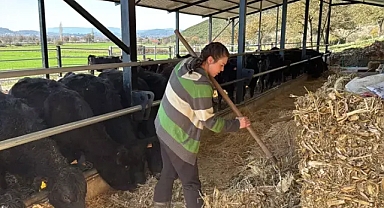 Bakanlık projesi hayatını degiştirdi: Ayşegül hayvancılıkta kendi işinin sahibi oldu