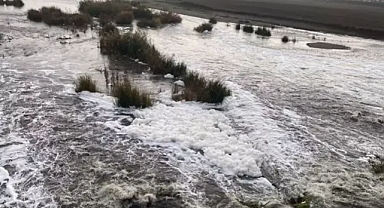Dicle Nehri'nde köpük oluşumu gözlendi.