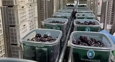 Dış pazarlara sunulan Türk zeytini, zeytinyağlı çikolata ve kozmetik ürünlerle de raflara çıkıcak