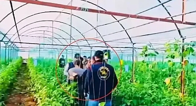 Diyarbakır'da 7 yıl önce işlenen cinayetin sanığı yakayı ele verdi