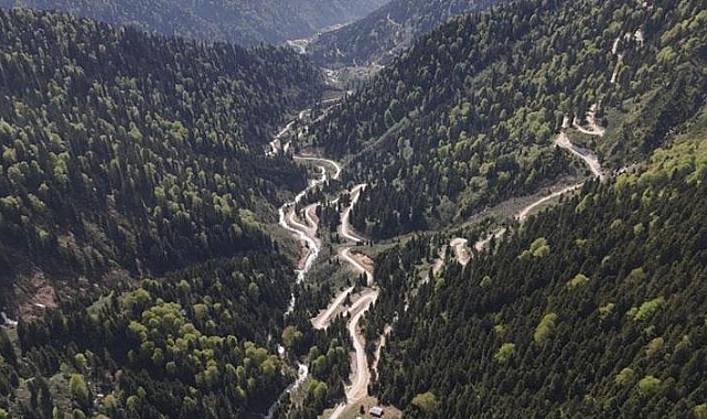 Karadeniz'de yağış değişimi alarmı; orman varlığı gençleştiriliyor