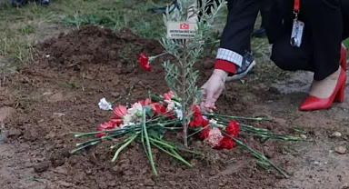 Muğla'da helikopter kazasında hayatını kaybedenler için fidan dikildi