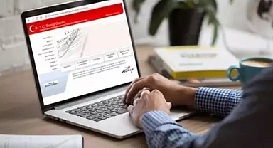 Taşınabilir otomatik şok cihazlarının yaygınlaşmasına ilişkin yönetmelik, Resmi Gazete'de