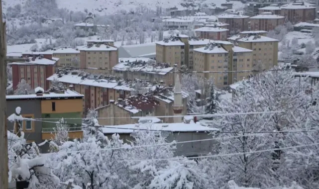 Van ve Hakkaride kar alarmı :Van'da 102, Hakkari'de 70 yerleşim yeri ulaşıma kapandı