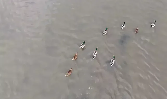 Yagışlar geldi kuruyan göl yeniden canlandı