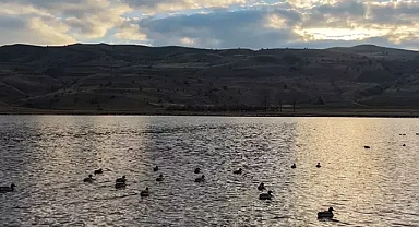 Yagışlar geldi kuruyan göl yeniden canlandı
