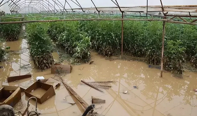 Antalya'da tarım alanları su altında kaldı