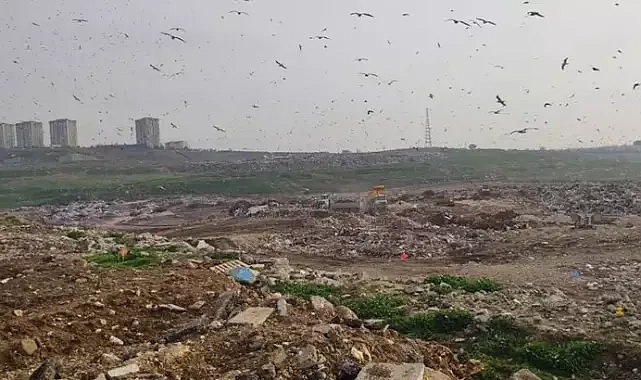 Bakanlıktan Bursa Büyükşehir Belediyesi'ne çevre kirliliği cezası