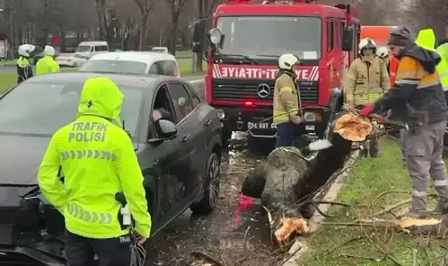 Bakırköy'de rüzgar nedeniyle kopan ağaç dalı otomobilin üzerine düştü; 4 araç birbirine girdi