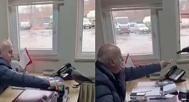 Belediye başkanı, odasına giren kargayı besledi