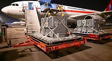 Japonya'nın gözdesi olan iki dev panda Çin'e gönderildi