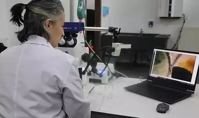 Kayseri’de müzedeki ve kazı çalışmalarında bulunan eserler konservasyon laboratuvarında temizleniyor