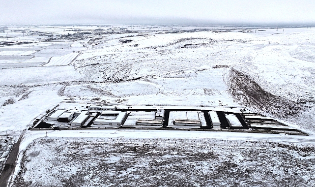 Kocasinan’dan Sokak Hayvanları İçin Modern, Güvenli Ve Sıcak Bir Yaşam Alanı