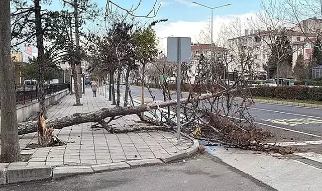 Tekirdağ'da fırtına; eğitim uçuşları iptal edildi, balıkçılar denize açılamadı