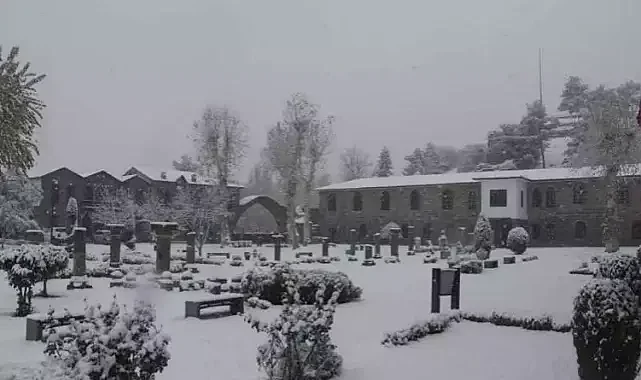 20 Yıl Sonra Gelen Karın Doğaya Etkisi Merak Ediliyor