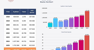 2018–2025 DÖNEMİ HİZMET SUNUM VE KURUMSAL GELİŞİM DEĞERLENDİRMESİ