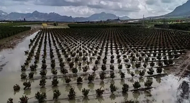  Adana'da hasatlar 45 gün gecikecek':i tarım arazileri su altında kaldı. 