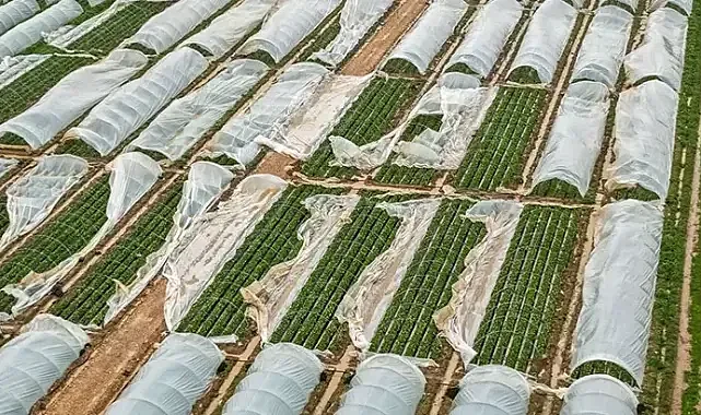 Antalya'da fırtına, hortum ve sel felaketinin faturası 3 milyar TL