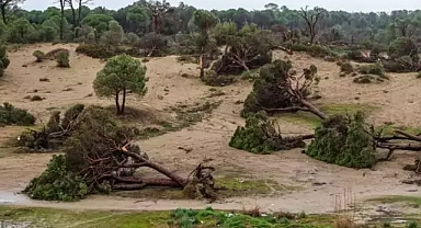 Antalya'yı vuran hortum fırtınası sonrasında enkaz kaldırma çalışmaları sürüyor