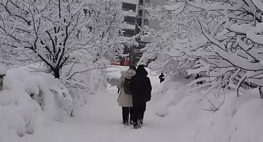 Bitlis ve Van'da 62 köy yolu ulaşıma kapandı. 