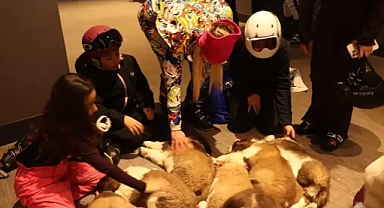 Erciyesin yeni maskotları 'Pastırma' ve 'Sucuk' isimli köpekler, erciyese renk kattılar.