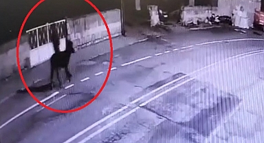 Eşek ile olay yerinden kaçmış