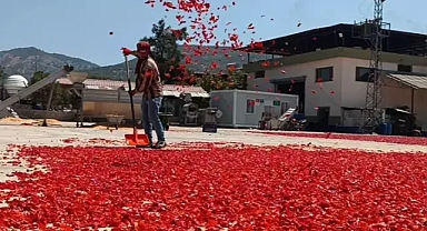  Gaziantep'te kırmızı pul biber ihracatı 