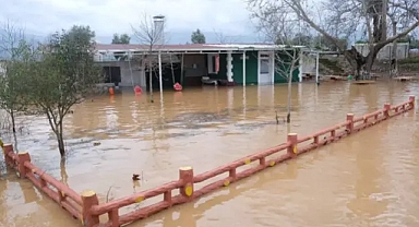 İzmir'de nehirlerin taşması ile ahır ve tarım alanları su içinde kaldı