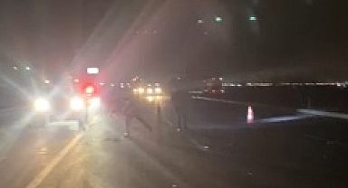 Kayseri’de minibüsün çarptığı 3 at öldü; sürücü yaralandı