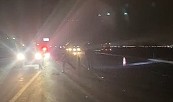 Kayseri’de minibüsün çarptığı 3 at öldü; sürücü yaralandı