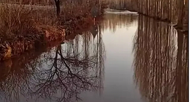Kızılırmak Nehri taştı araziler su altında kaldı 