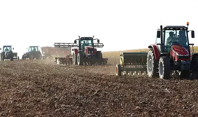 Mardin'de 3 yıllık kuraklığın ardından yağan yağış çiftçiye yaradı!