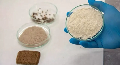 Selçuk Üniversitesi'nde mor ve mavi buğdaylardan bisküvi üretildi.