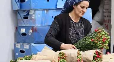 Türkiye; çiçek ihracatında milyonluk rekor kırdı