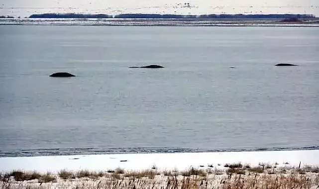 Van Gölü'nde ada parçaları görülmeye başlandı