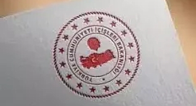 22 ilde dev operasyon