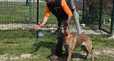 AKKD Başkanı Yamak; Arama kurtarma'da köpeklerin önemine değindi
