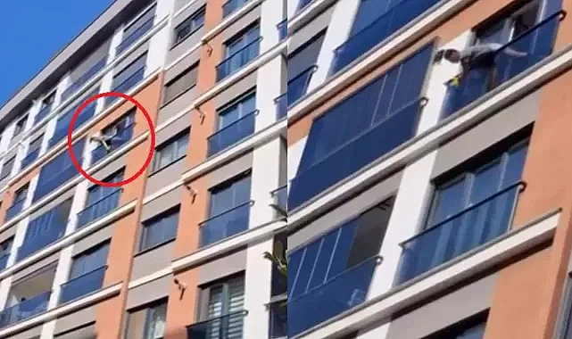 Cam silerken herkesi korkuttu