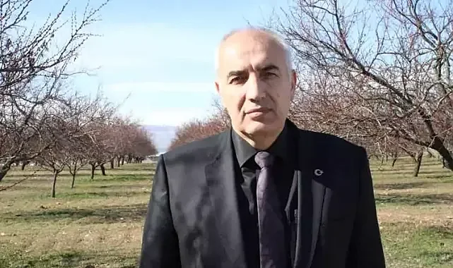 Dondan etkilenen kayısıda bu yıl beklenti yüksek 