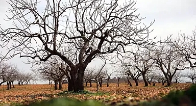 Gaziantep'de; üretici'den 