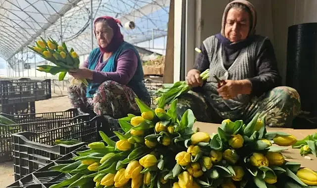 Kadınlar'dan 8 Mart'a özel anlamlı çalışma
