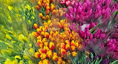 Kadınlar'dan 8 Mart'a özel anlamlı çalışma