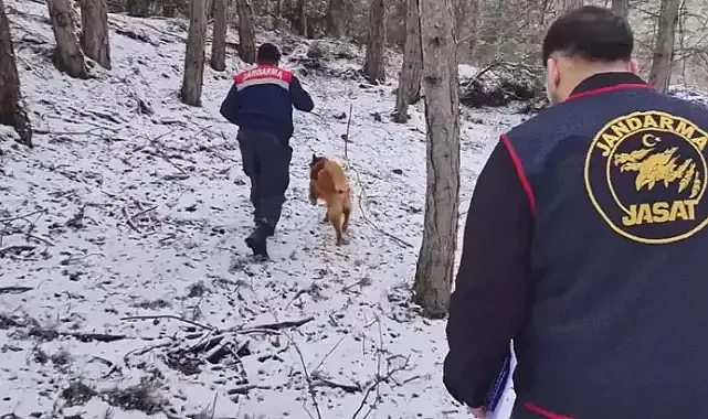Ormanda bulunan kafatası ve kemik parçaları 2 kadına ait çıktı; 10 yıllık çifte cinayet aydınlatıldı