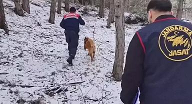 Ormanda bulunan kafatası ve kemik parçaları 2 kadına ait çıktı; 10 yıllık çifte cinayet aydınlatıldı