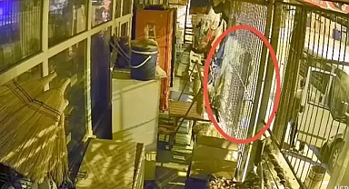 Osmaniye'de çalıntı araçla hırsızlık kamerada: 1 tutuklama