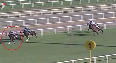 Yarış atından kavurma yaptıran iş insanın cezası belli oldu