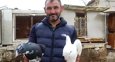 8 yaşında başladığı güvercin tutkusunu 35 yıldır sürdürüyor