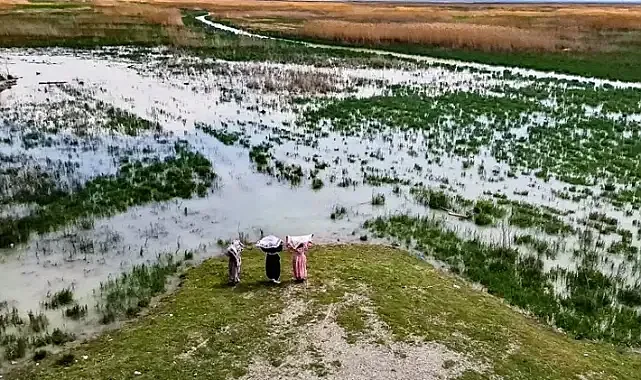 Akşehir Gölü, 8 yıllık kuraklık sonrası canlanıyor